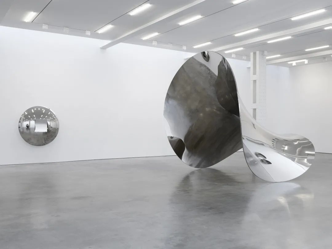 anish kapoor